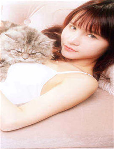 骡子和金子 电视剧