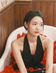 评书杨家将刘兰芳