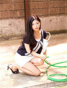 绿野仙踪视频